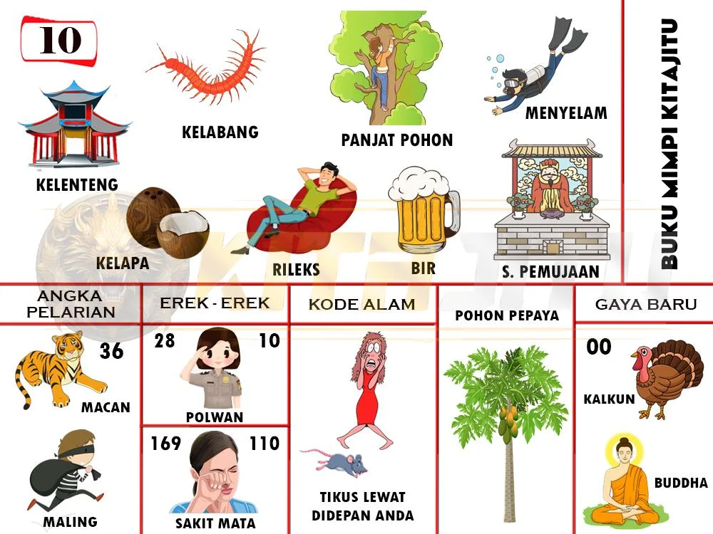 buku mimpi erek erek togel 10